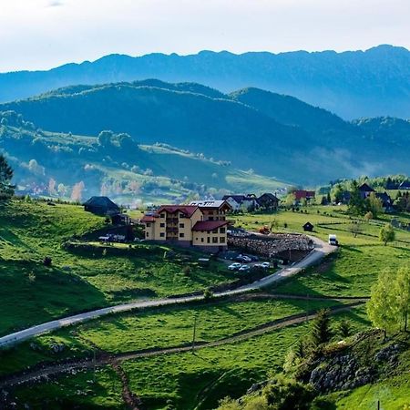 Pensiunea Crai Nou Şirnea Exteriér fotografie