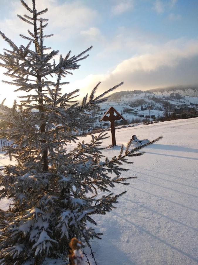 Pensiunea Crai Nou Şirnea Exteriér fotografie