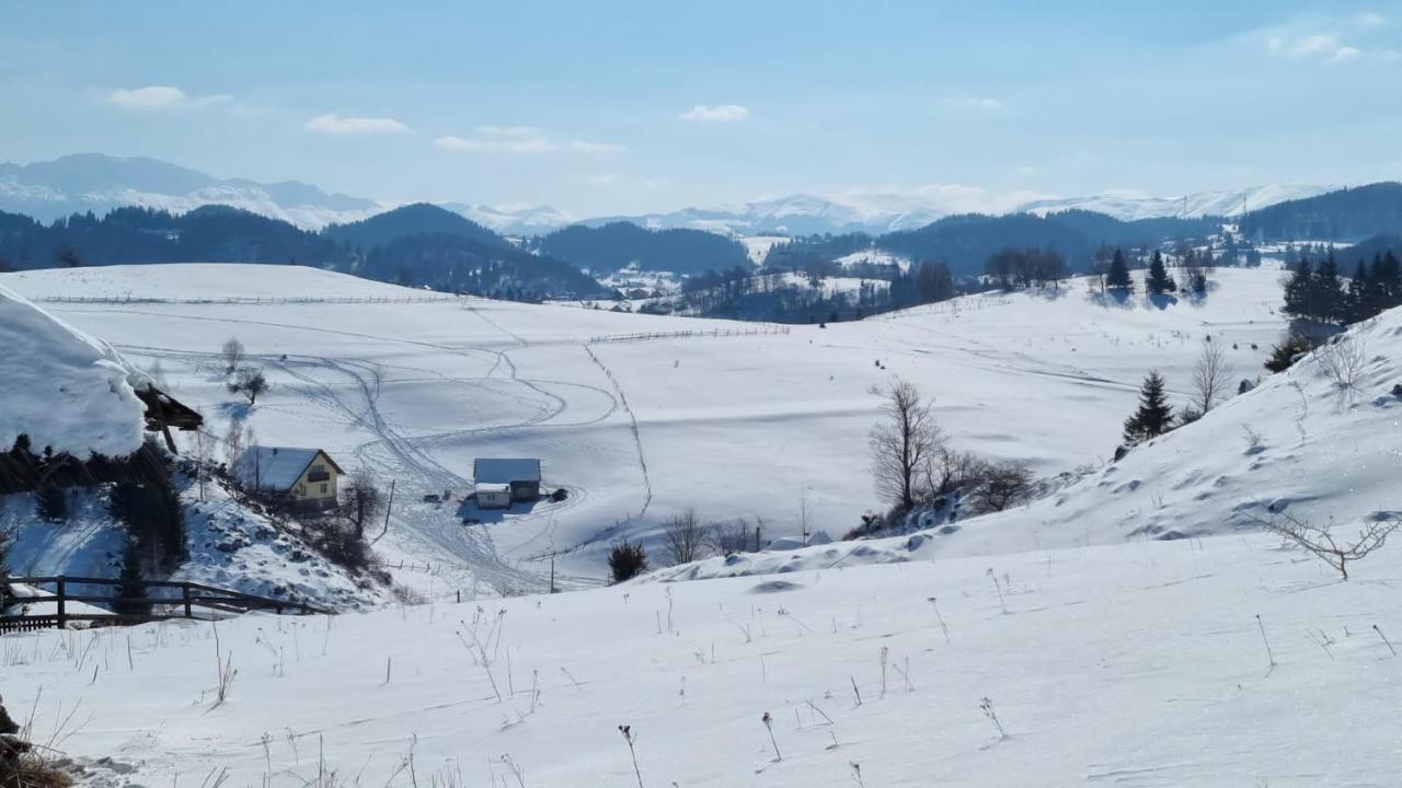 Pensiunea Crai Nou Şirnea Exteriér fotografie