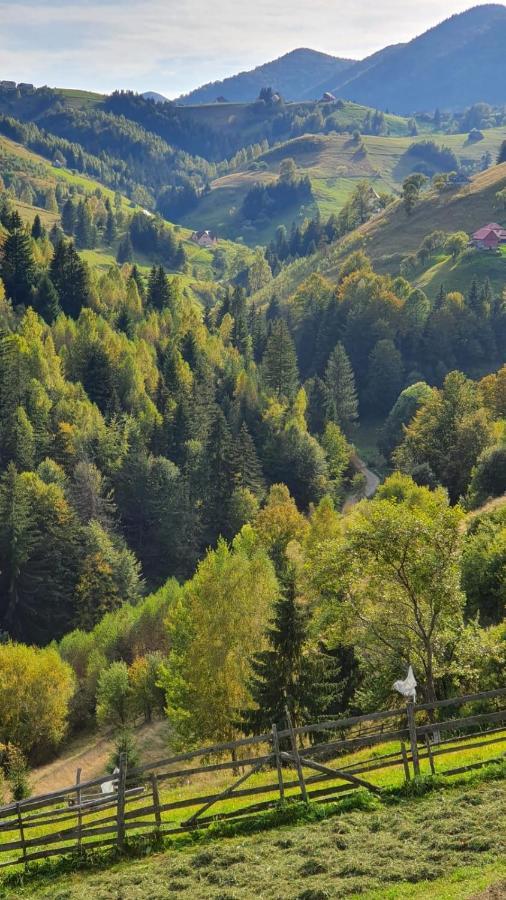 Pensiunea Crai Nou Şirnea Exteriér fotografie