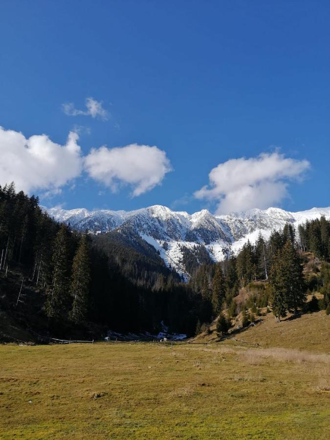Pensiunea Crai Nou Şirnea Exteriér fotografie