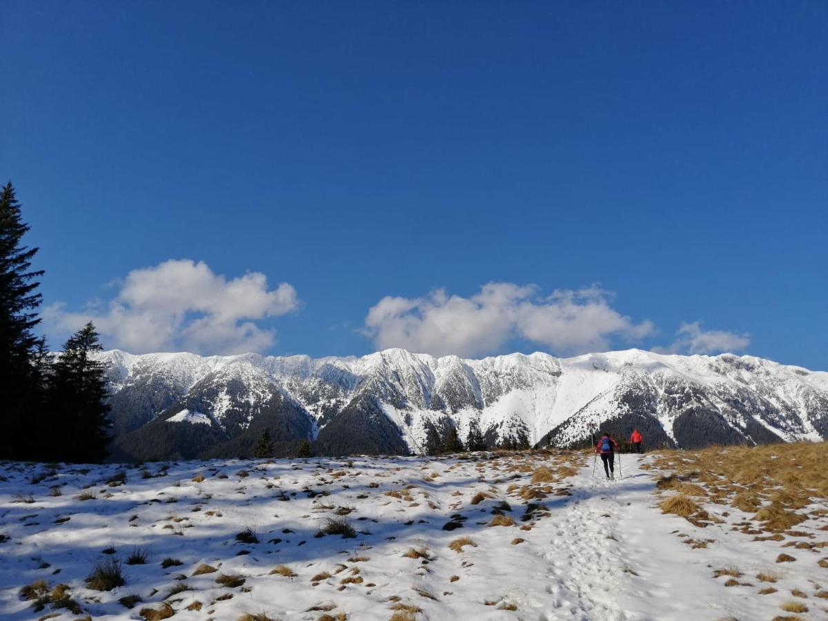 Pensiunea Crai Nou Şirnea Exteriér fotografie
