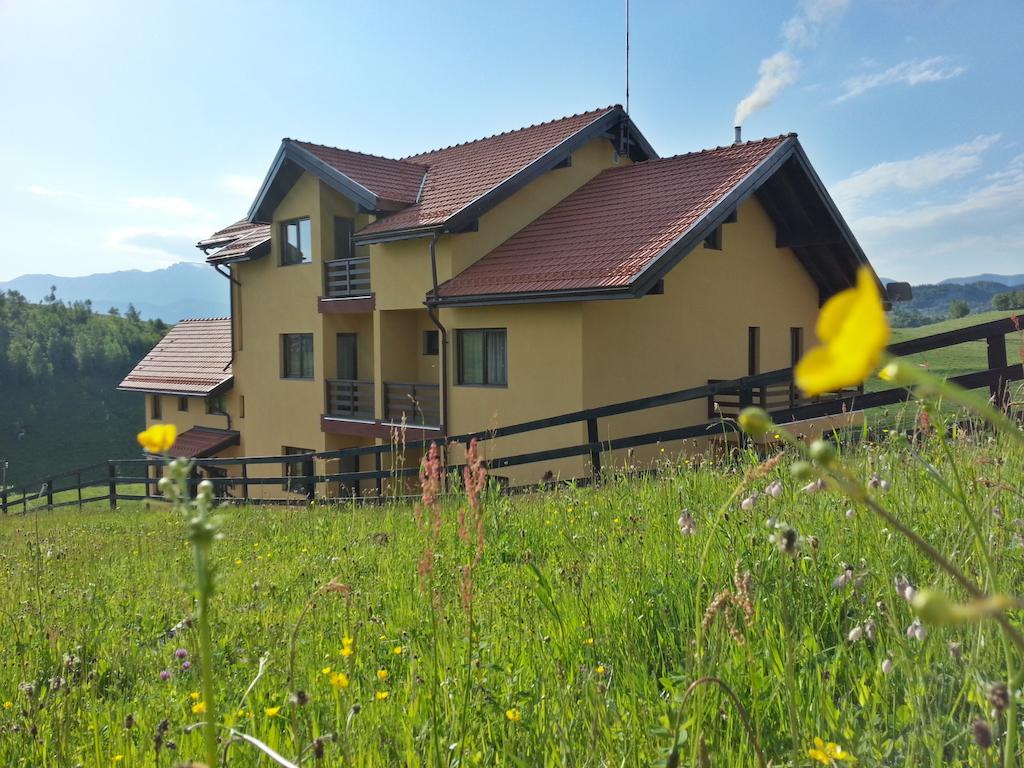 Pensiunea Crai Nou Şirnea Exteriér fotografie