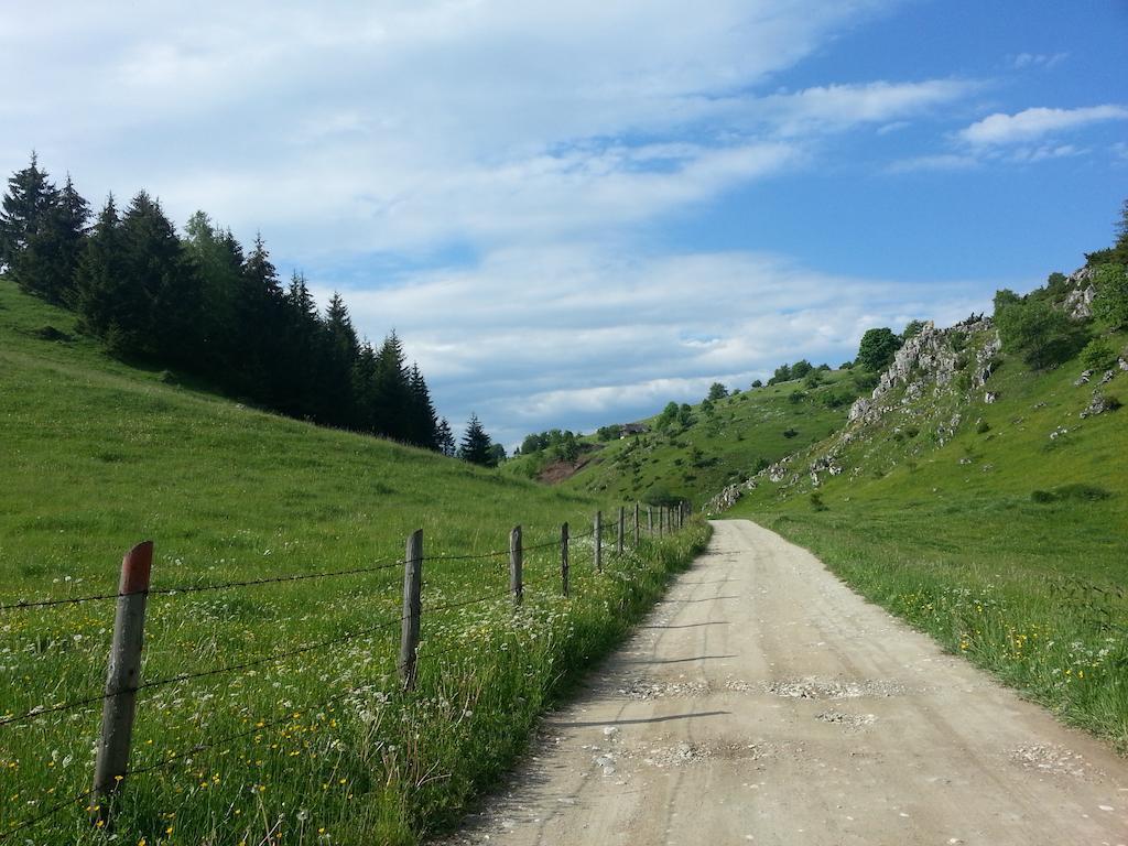 Pensiunea Crai Nou Şirnea Exteriér fotografie